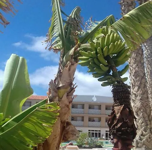 Parque Carolina קוסטה דל סילנסיו